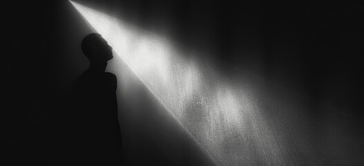 Abstract minimalistic silhouette gradient black white background with spotlight and texture