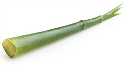 Close-up of a bamboo shoot with rich green hue, isolated on white background