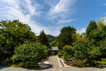 Garden in Japanese temple in Kamakura