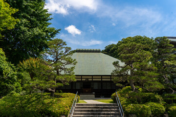 Garden in Japanese temple in Kamakura