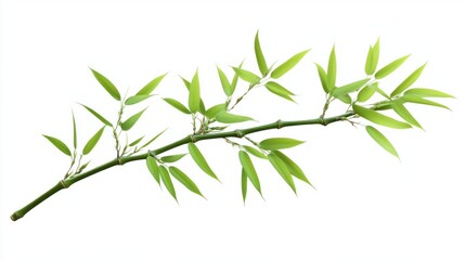 Naklejka premium Smooth green bamboo branch with minimal leaves, isolated on white background