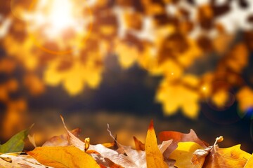 Autumn Landscape with Orange Foliage At Sunset