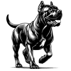 Cane Corso in full-body, hand drawn sketch. Vector isolated on white background	