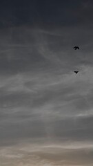 Fototapeta premium flying over the storm