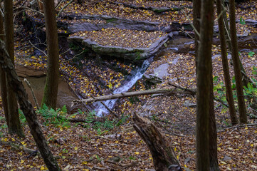 Waterfall on the Four Mile Run Creek by the Turkey Path Trail in Leonard Harrison State Park, in Watson Township, Pennsylvania.