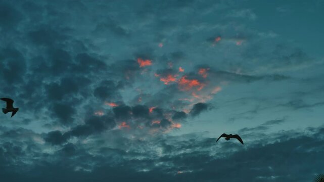 Birds flying in the sunrise