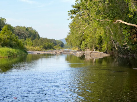Regenwald-Flusslandschaft, Queensland, Australien