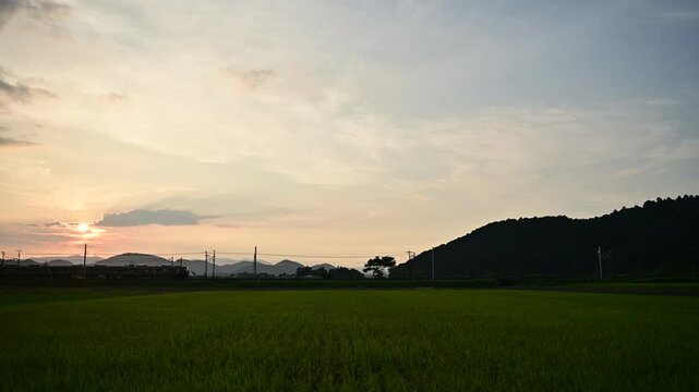 黄昏の安土城址を通過する223系新快速列車 （東海道本線 安土 - 能登川, 2024年8月）