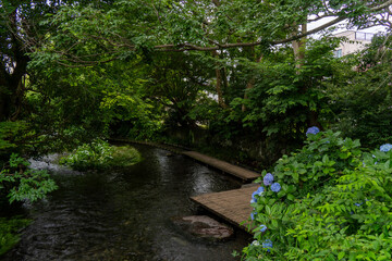 River In a city in Japan