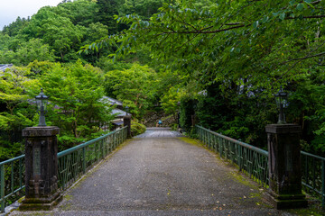 Bridge in the forest