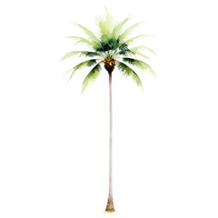 Obraz premium Majestic palm tree against a clear sky a symbol of tropical beauty and serenity in nature's splendor