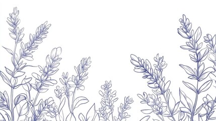 Lavender Line Drawing Black and white floral frames Floral line art Fine line lavender illustration Hand drawn outline flowers Botanical coloring page Flowers for wedding invitations