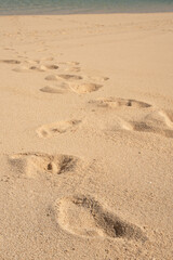 footprints in the sand