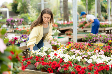 At exhibition and sale fair, girl buyer admires and inspects showcase with street plants petunia...