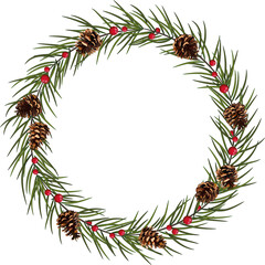 fir tree branch with cone isolated on transparent, png. illustration in realistic style. Christmas.New Year