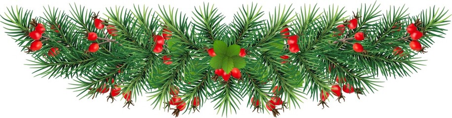 Fir tree branch with cone. Green spruce branch, decoration element for banner. Isolated illustration on transparent, png © 151115
