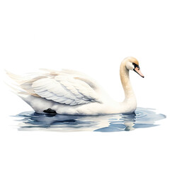 Obraz premium Elegant Swan Gliding Gracefully Across a Tranquil Lake in a Serene Black Background Setting