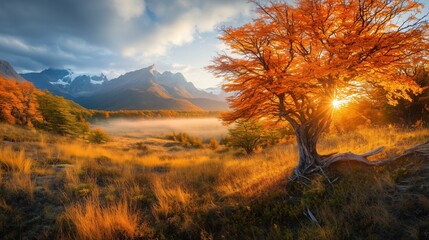 Obraz premium Autumn scene in countryside