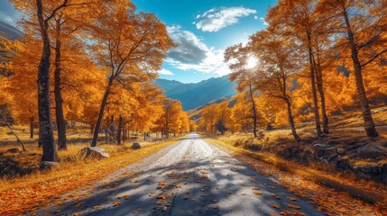 Obraz premium A serene road meanders through stunning autumn landscapes, where golden trees mingle with vibrant reds and oranges, under soft sunlight filtering through leaves, inviting exploration.