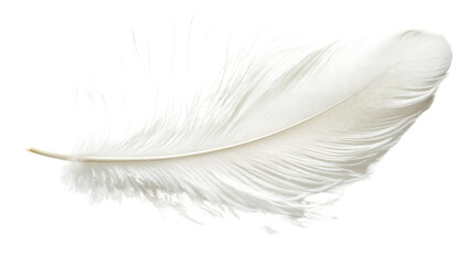 Obraz premium A single white feather isolated on a white background, showcasing its delicate texture and lightness