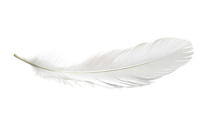 A single white feather isolated on a white background, showcasing its delicate texture and lightness © Varunee