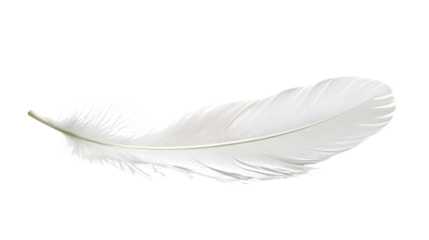 A single white feather isolated on a white background, showcasing its delicate texture and lightness