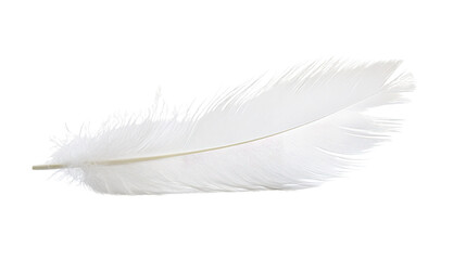 Obraz premium A single white feather isolated on a white background, showcasing its delicate texture and lightness