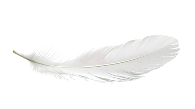 A single white feather isolated on a white background, showcasing its delicate texture and lightness