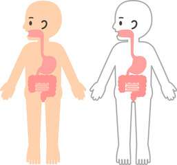 人の体と消化器、胃腸のデフォルメイラスト