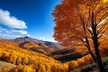 Autumn in the Bieszczady National Park, with vibrant orange and yellow foliage blanketing the forested hills