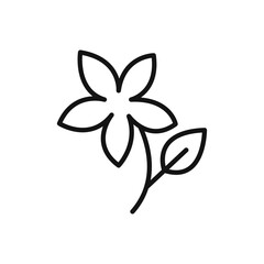 Jasmine icon Flat art illustration in outline