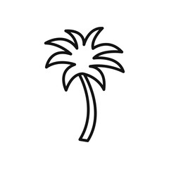 Palm tree icon Flat art illustration in outline
