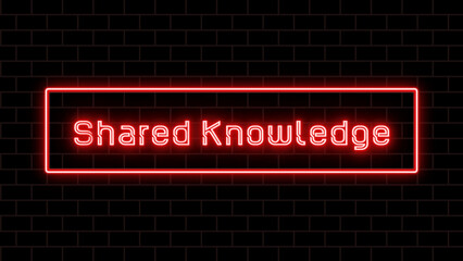 Shared Knowledge のネオン文字