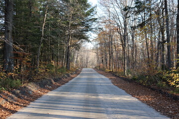 Fototapeta premium A road in a park in autumn. Autumn baackground with colorful trees and a dirty road. October calendar and forest. Fall seson and destination.