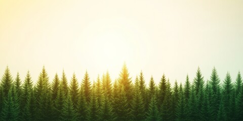 Tranquil Sunlit Forest Canopy with Clear Sky - Ideal for Nature Conservation Campaigns