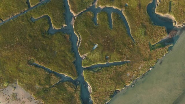 Abstract drone flyover of the ocean with a top down view of the wetlands/marsh in the early morning light on Cape Cod