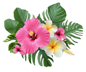 High-Quality PNG Pink Hibiscus flowers and plumeria flowers with monstera leaves in a tropical arrangement isolated on transparent background – High Resolution