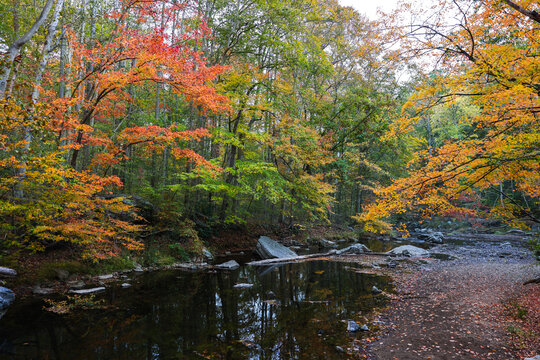 Ridley Creek State Park in Media, Pennsylvania is one of the best destinations to see fall foliage near Philadelphia, Pennsylvania