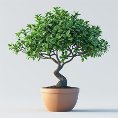 3D Cartoon Tree Icon in Pot for Design Use