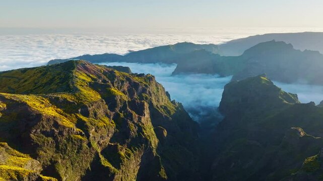 Aerial view at Pico do Arieiro of mountains over clouds with blooming Cytisus shrubs on sunset with sunburst. Madeira island, Portugal. Pan shot