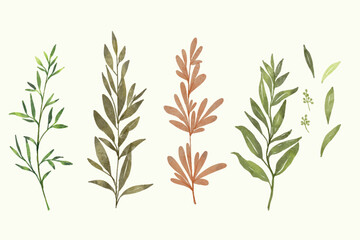 Obraz premium Set of green watercolor floral leaves, branches, twigs etc. Vector traced isolated greenery illustration. Spring, summer, autumn leaves.