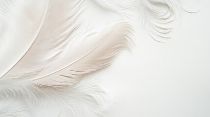 Fototapeta premium Soft, delicate feathers arranged on a light background, creating a serene and elegant aesthetic.