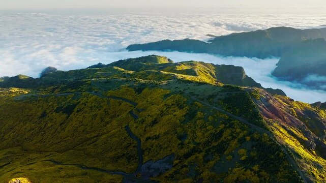 Aerial view at Pico do Arieiro of mountains over clouds with blooming Cytisus shrubs on sunset Madeira island, Portugal. Pull away out dolly retreat shot