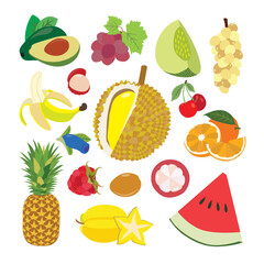 Tropical Fruits Extravaganza. vector illustration