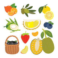 Tropical Fruit Paradise. vector illustration