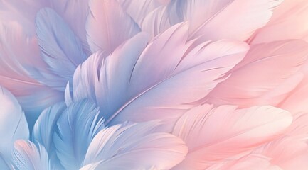 A blend of soft pink and blue feathers creating a serene and tranquil background, perfect for artistic or calming projects.