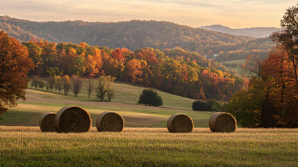 A scenic photograph of hay bales scattered across the autumn hills, capturing the essence of the harvest season.