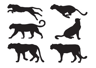 silhouettes of leopard or cheetah or phanter © Sigit Dwi Pambudi