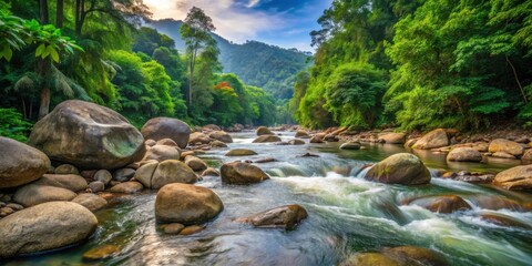 River flowing through the lush forest with large rocks in the background, nature, forest, river, flowing water