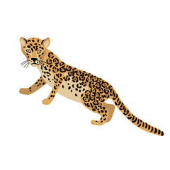vector drawing jaguar, animal isolated at white background